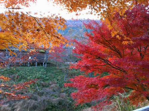 京都 3